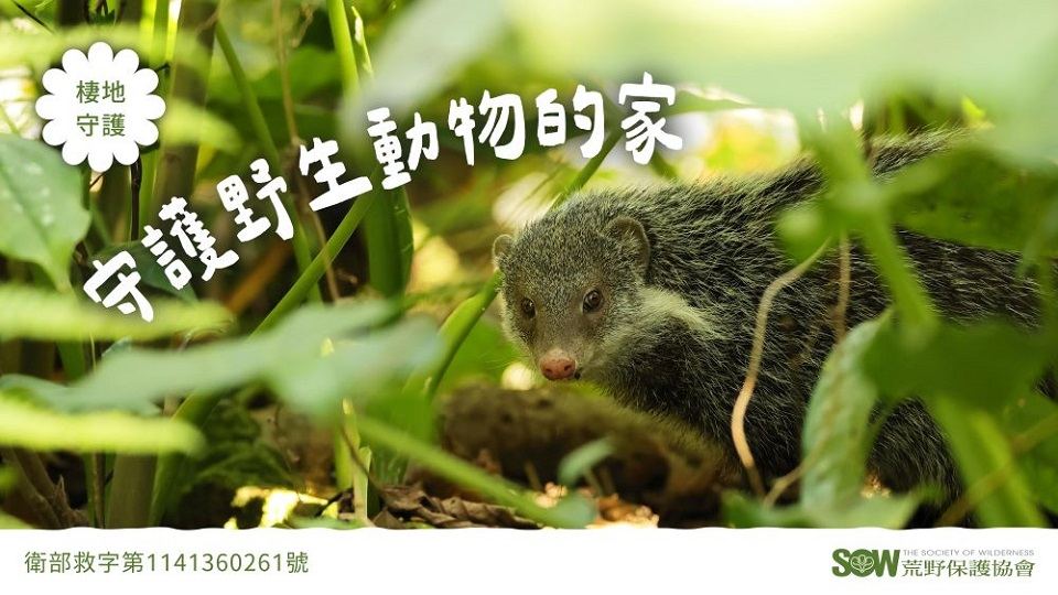 守護野生動物的家