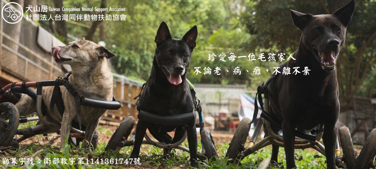 動物保護