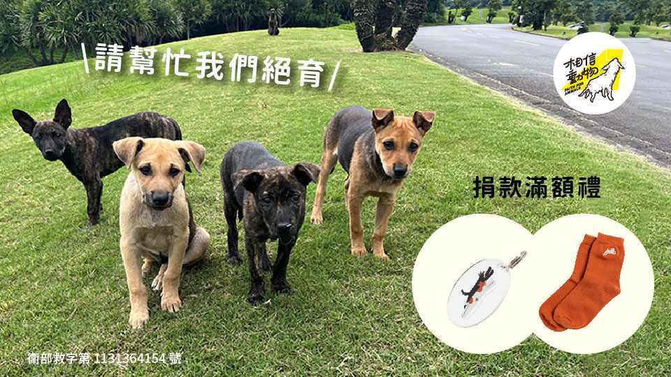 動物保護